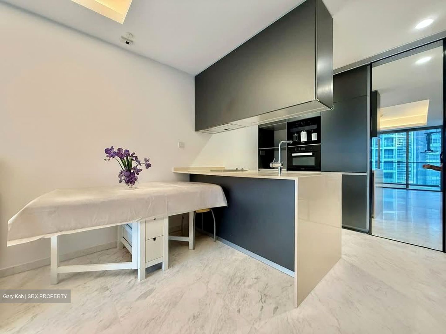 Cairnhill Nine (D9), Apartment #598276601
